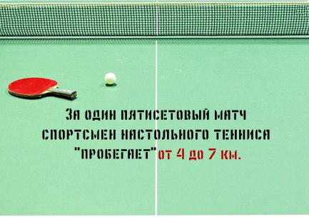 интересные факты